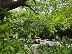 -光明港公园