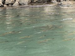 -九曲溪竹筏码头