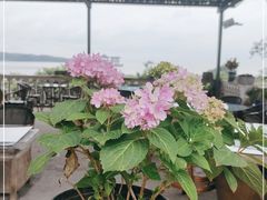 -亮河湾山庄