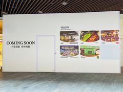 -上海长风大悦城