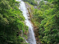 -九龙江国家森林公园