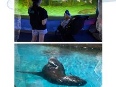 -常州海昌海洋探索馆