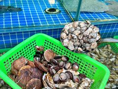 -富临港蒸汽海鲜(栈桥店)