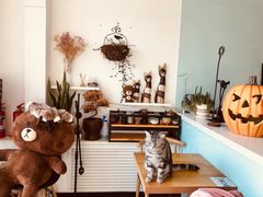 -平行世界·猫咖(首经贸店)