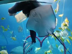 -太平洋海底世界