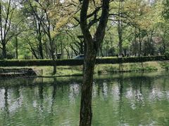 -WeLope紫金山探险公园