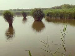 -西青郊野公园