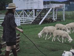 -溪口-滕头旅游景区