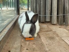 -鄂尔多斯野生动物园