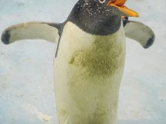 -珠海长隆海洋王国