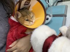 -嘉馨宠物医院·CT影像转诊·心脏科·犬猫全科诊疗中心(下沙大学城院区)