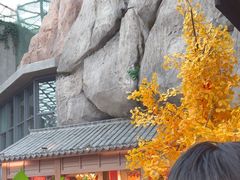 -阿大排档(长春这有山店)