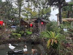 -青城甲(青城山店)