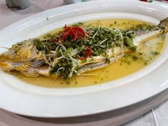 雪菜蒸大黄鱼-上海老饭店(北京分店)