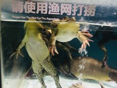 -盒马鲜生(顺义店)