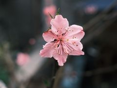 -桤木河湿地公园