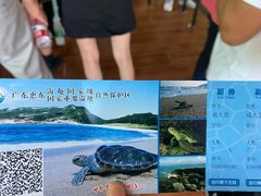 -广东惠东海龟国家级自然保护区