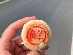 鲜肉月饼-泸溪河桃酥(金坛吾悦广场店)