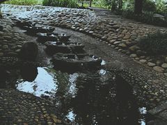 -成都市活水公园
