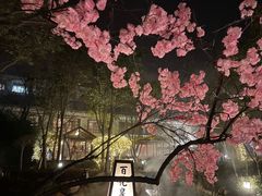 -国御温泉度假小镇