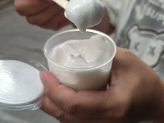 -洪馨椰子