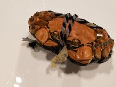 -新食谱全日制餐厅·苏州苏州湾艾美酒店