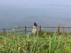 -枸杞岛