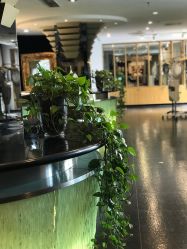 -漂亮宝贝美容美发