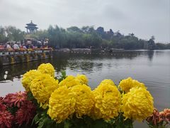 -中国翰园碑林