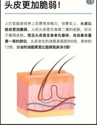 -Bollins波林丝•专研护发中心