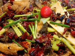 -老板恋上鱼(恒隆广场店)