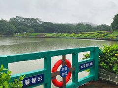 -东莞植物园