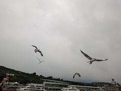 -长岛南北长山旅游景区