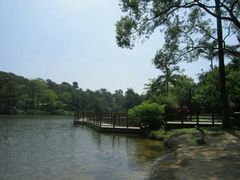 -金山植物公园