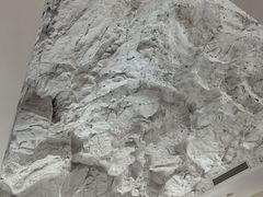 -奥加美术馆
