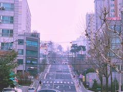 -阿岘洞酱蟹