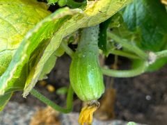 -北京天湖会议中心