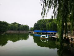 -黄村公园