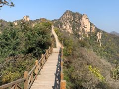 -大岭沟猕猴桃谷风景区