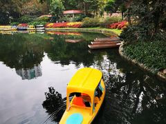 -晓港公园