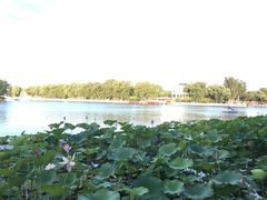 -北门涮肉·炭火铜锅涮肉(什刹海店)