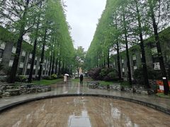 -复旦大学本部-食堂