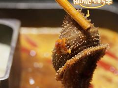 -巴奴毛肚火锅(九洲店)