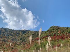 -龙道沟景区