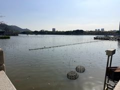 -顺峰山公园