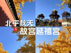 -故宫博物院(故宫)