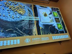 -灶座小锅烀饼·铁锅炖(道里店)