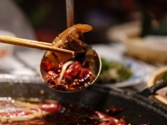 -朱光玉火锅馆(正弘城店)