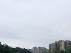 -金山公园