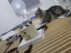 -Whisper studio薇语花艺烘焙工作室